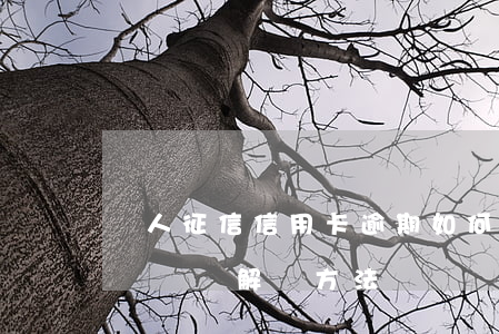 個人征信信用卡逾期如何消除？完整記錄與解決方法